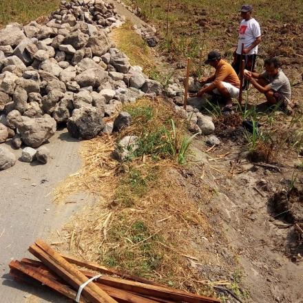 Pembangunan TPT Jalan Dusun Mojosongo