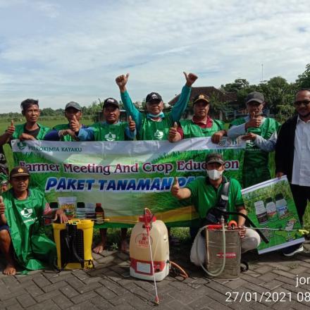 Penyemprotan Penanggulangan Bakteri Daun