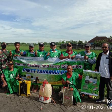 Penyemprotan Penanggulangan Bakteri Daun