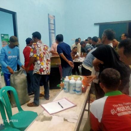 Penyaluran Bantuan Bibit Padi