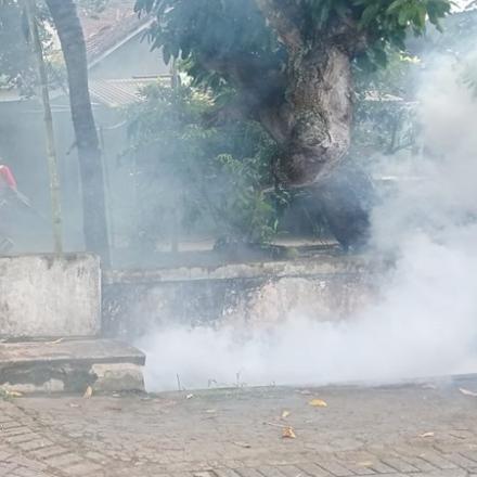 Foging Mencegah Nyamuk Demam Berdarah