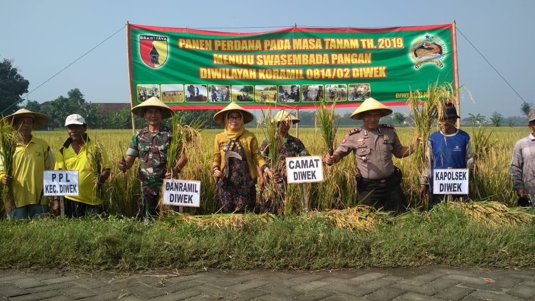 Panen Perdana Masa Tanam Tahun 2019