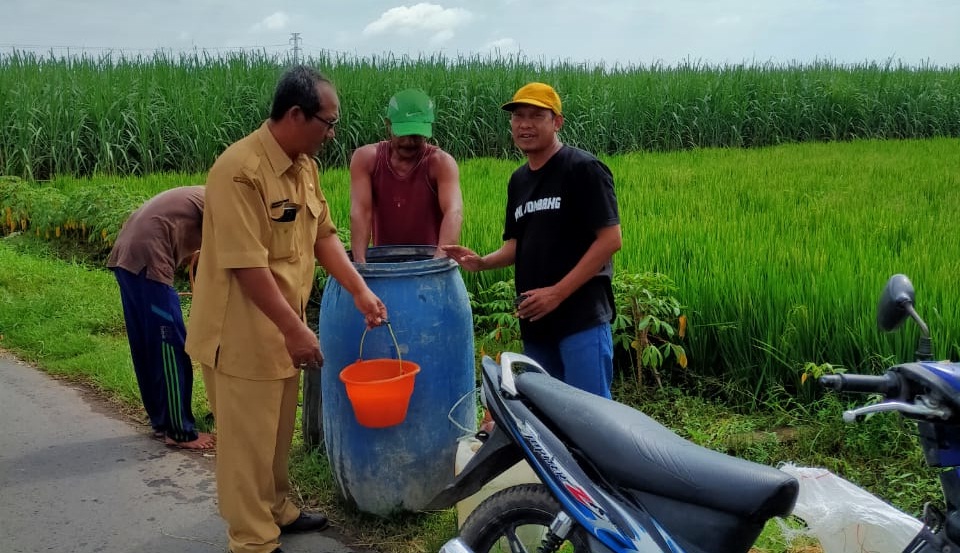 Gerakan Pengendalian Wabah Batang Coklat